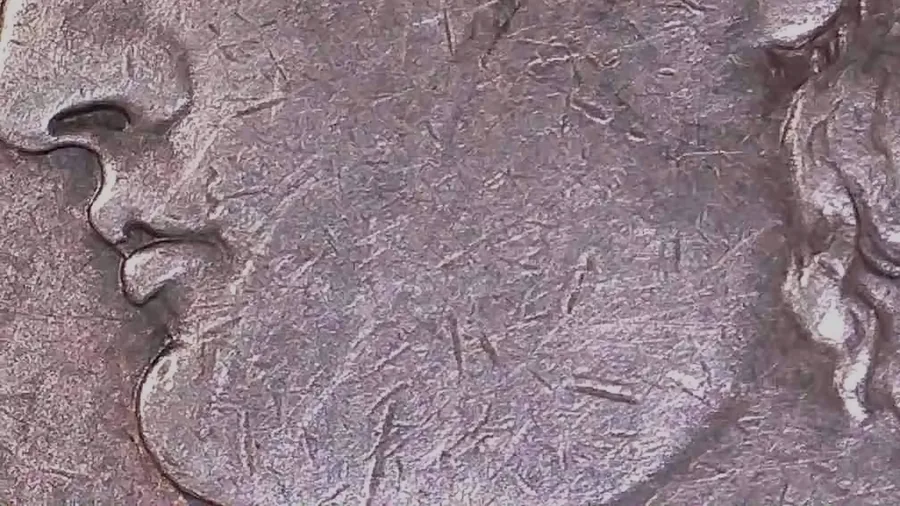 Liberty's cheek on an 1887 Morgan dollar from Jen Mellen's collection, crossed by contact marks and hairlines that belong to this one coin