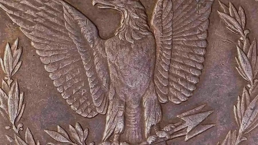 The eagle on the reverse of an 1887 Morgan dollar from Jen Mellen's collection, feather relief shown by a directional lamp