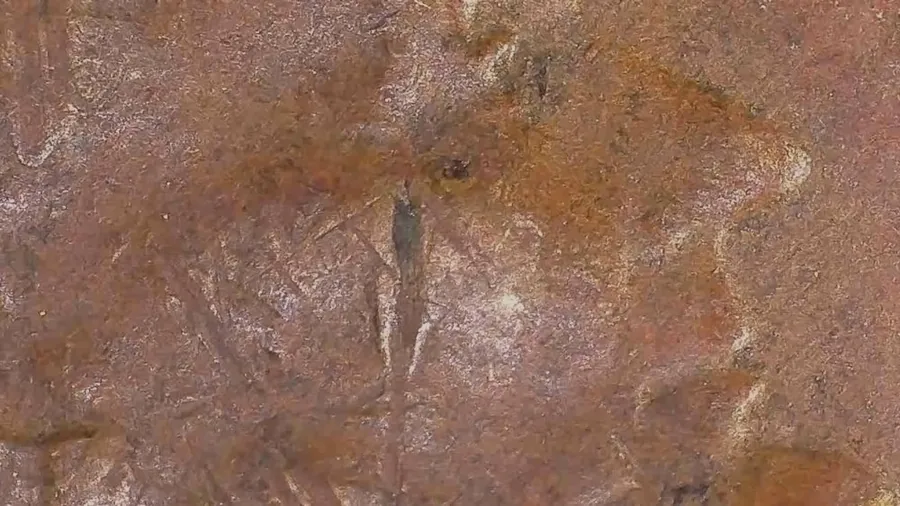 A worn Lincoln cent from Jen Mellen's own photographs, close on a sharp line across the design - whether it is raised or incuse decides if it is a die feature or damage